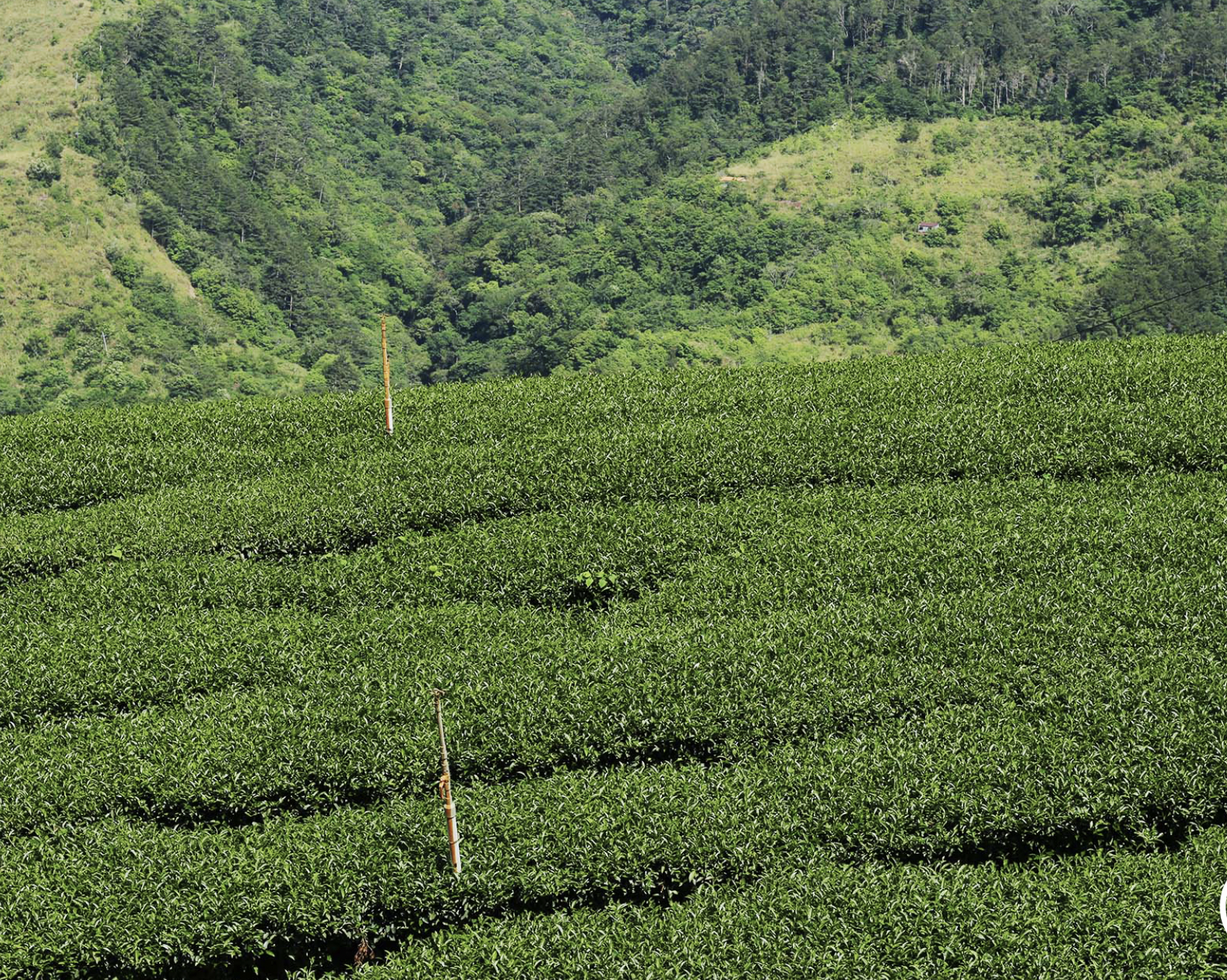 Ảnh chụp Màn hình 2025-06-15 lúc 23.25.23.png