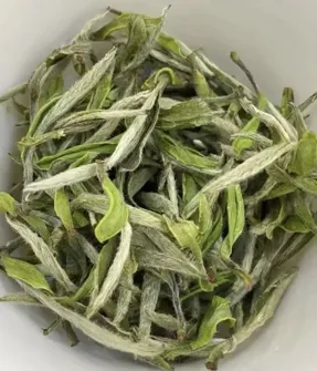 Bạch Trà Mẫu Đơn