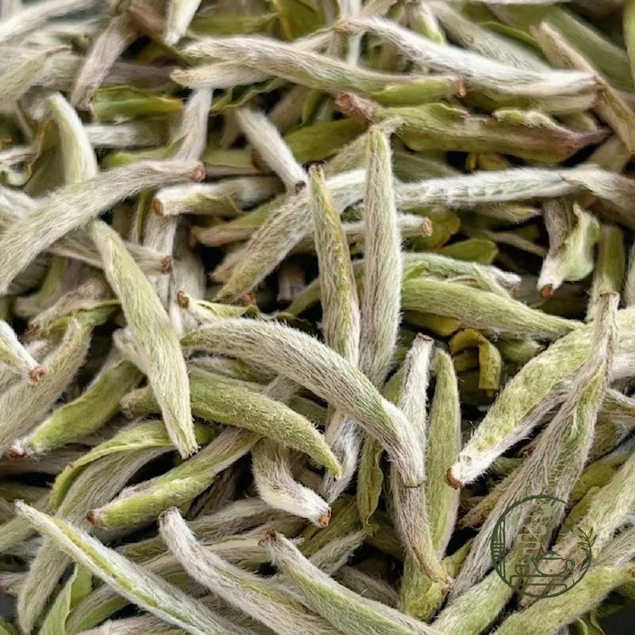 Bạch Hào Ngân Châm