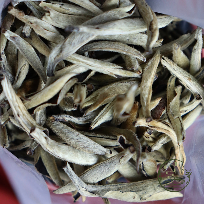 Bạch Hào Ngân Châm Vân Nam