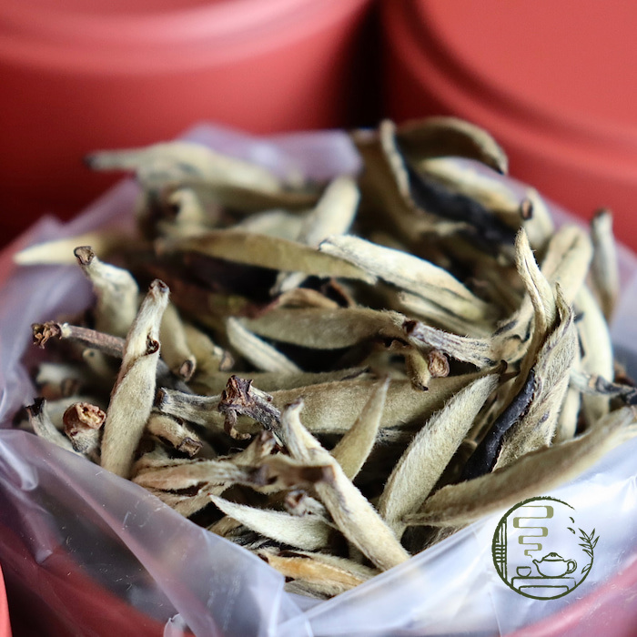 Bạch Hào Ngân Châm Vân Nam