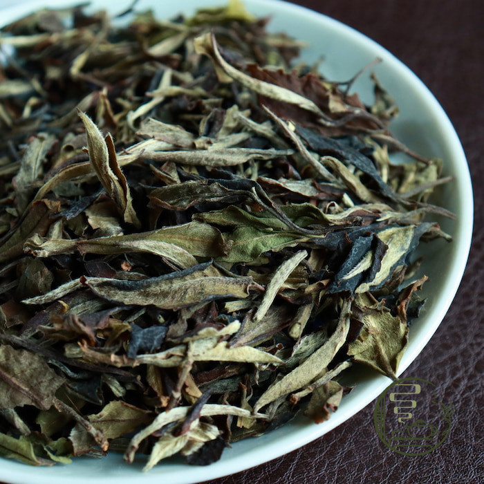 Bạch Nguyệt Quang (Bạch trà Vân Nam)