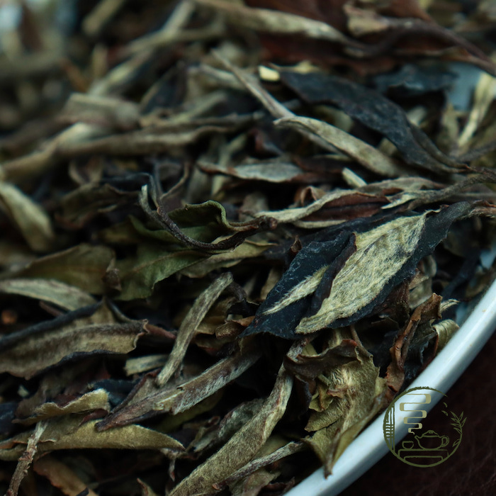 Bạch Nguyệt Quang (Bạch trà Vân Nam)