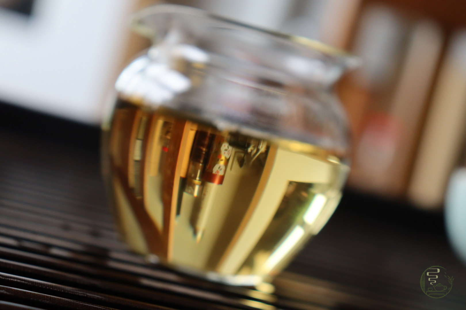 Bạch trà cổ thụ hoang dã Vân Nam 2024