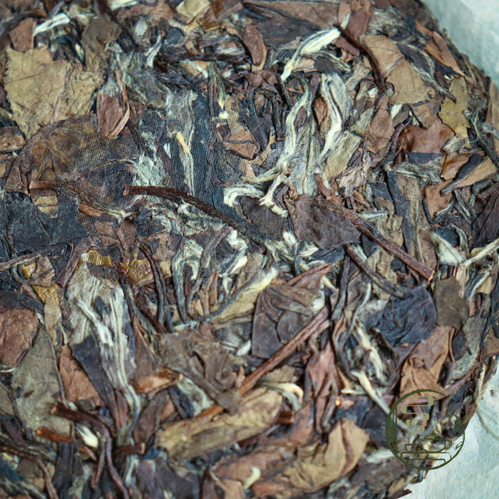 Lão Bạch Mẫu Đơn 2013