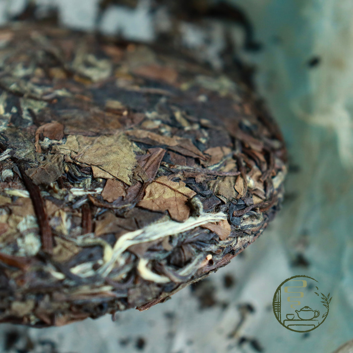 Lão Bạch Mẫu Đơn 2013