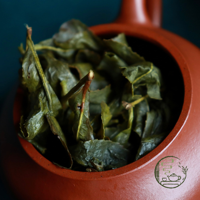 Trà Olong Alishan Đài Loan (A Lý Sơn)