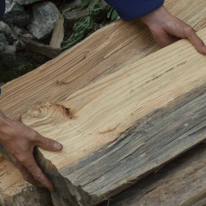 Th&ocirc;ng Dầu.jpg